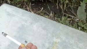 Сигарета против бензина и газа