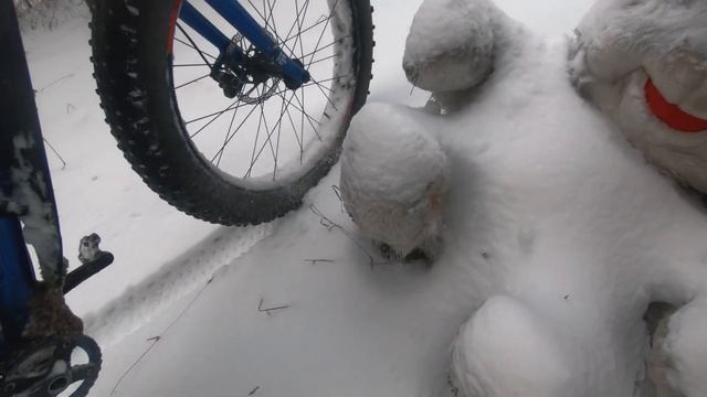 По Мещере на фэтбайке зимой (Авсюнино-Куровское, 65км) :: ВЕЛОБЛОГ :: Январь 2021 смотреть онлайн