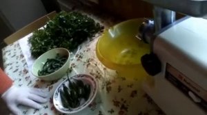 ЗЕЛЁНАЯ ОСТРАЯ АДЖИКА.                                                        #аджика#острая#зелена