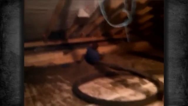 ВОТ ЭТО ЖОПА ТЕСТ НА ЮМОР ПОДБОРКА ПРИКОЛОВ смотреть онлайн