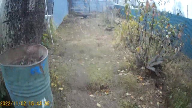 Пришёл на участок а там такое...