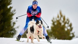 СКИДЖОРИНГ: ЧТО ЭТО ЗА СПОРТ?