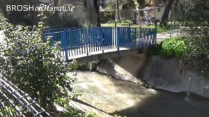 550.Лес Рамат-Менаше.Кибуц а-Зореа."Три желания".Израиль