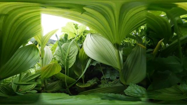 Маленький большой каньон. смотреть онлайн