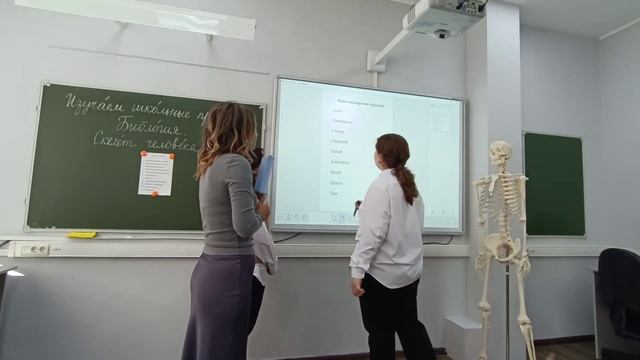 Урок РВ и ВУР по теме "Изучаем школьные предметы. Биология. Скелет человека".