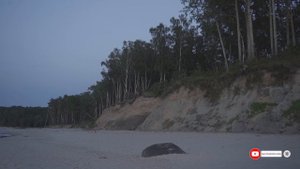 Балтийское море, пляж Куликово, Калининградская область