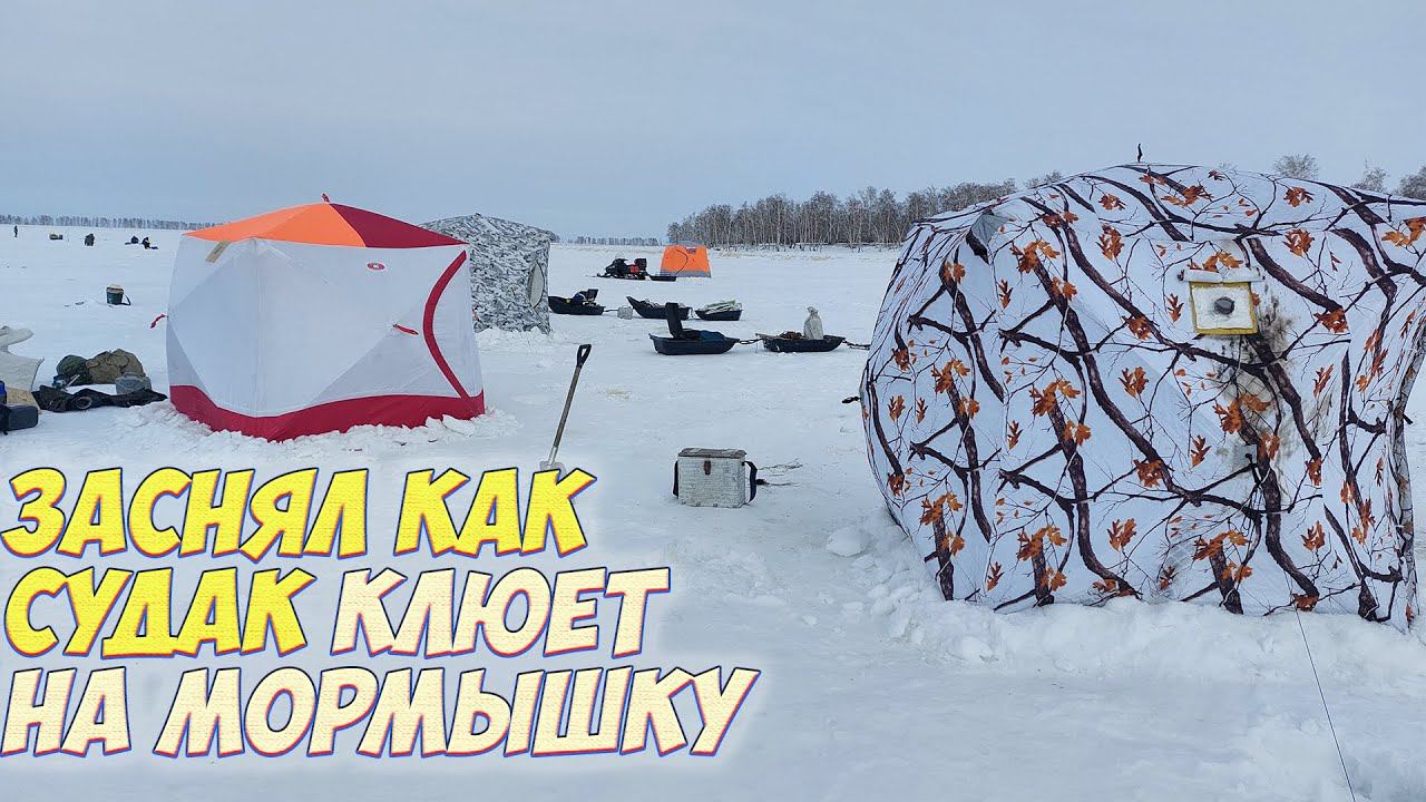 СУДАК НА БЛЕСНУ. ДВА ВЕДРА КАРАСЯ ЗА НОЧЬ. РЫБАЛКА С НОЧЕВКОЙ. смотреть онлайн