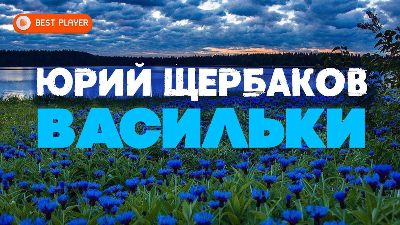 Лютики васильки песня слушать. Ромашко васильковое поле картинки. Лютик группа фото. Лютики васильки песня слушать. Лютики васильки песня слушать.