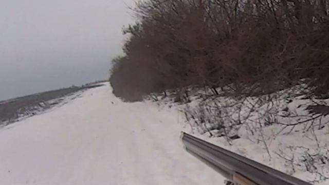 Охота НА ЗАЙЦА! ГОНЯЕМ косых по ЛЕСОПОЛОСЕ сезон охоты 2021-2022 ТОЗ 34 И ИЖ 27 смотреть онлайн