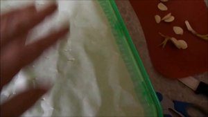 СРОЧНО СПАСАЮ ПРОШЛОГОДНИЙ ЧЕСНОК! ОТЛИЧНЫЙ СПОСОБ!