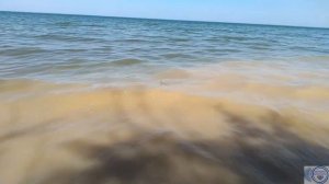 Змеиный берег Цимлянского моря