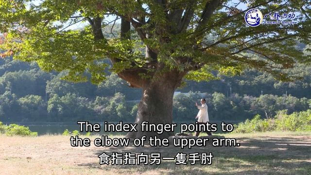 初識八卦內功，學習基本掌法 | 神秘的八卦內功 第1天 | 神秘的八卦內功網路課程 смотреть онлайн