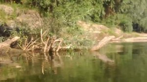 РЫБАЛКА НА ПОПЛАВОК! ЛОВЛЯ ГОЛАВЛЯ НА КУЗНЕЧИКА! 5 МИНУТ 2 ГОЛАВЛЯ! ДНЕСТР, ГРИГОРИОПОЛЬ!