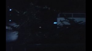 太陽にほえろ! 第270話 殿下とライオン