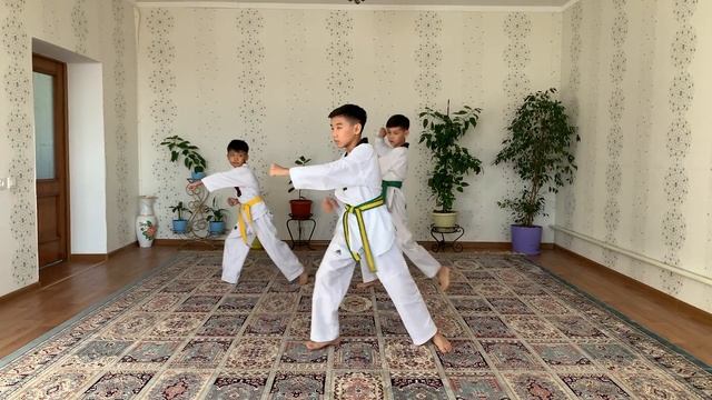 3 Пхумсэ тхэквондо (пумсе таеквон-до)