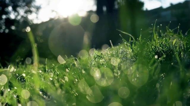 Матушка Земля смотреть онлайн