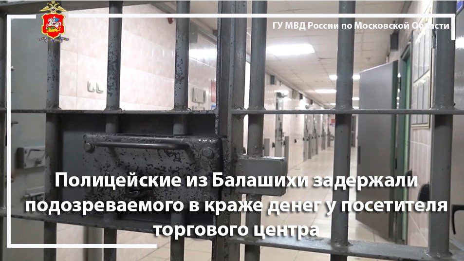 Полицейские из Балашихи задержали подозреваемого в краже денег у посетителя торгового центра