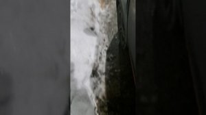 Решение ошибки радара Changan CS 55 Plus