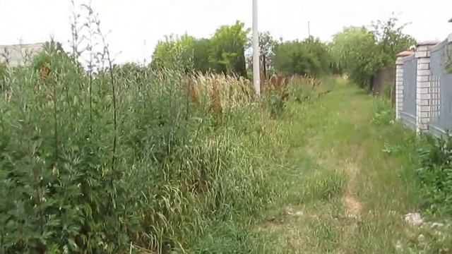 Продам участки 20 15 и 5соток с.Тетеревка Житом.обл. смотреть онлайн