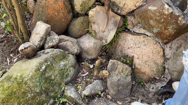 【抜根】庭の切り株を抜く｜人力スコップで木の根っこ除去作業｜日本庭園再生【古民家DIY#13】