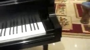 Таваллудат муборак - С днем рождения