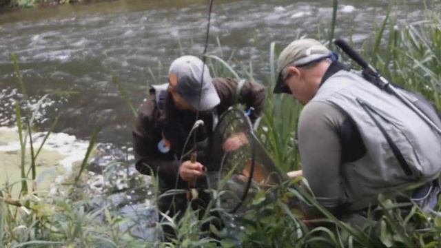 Рыболовные путешествия.Нахлыст.Хариус реки Merkys.Baltic Fly Fishing Cup 2019.Литва.