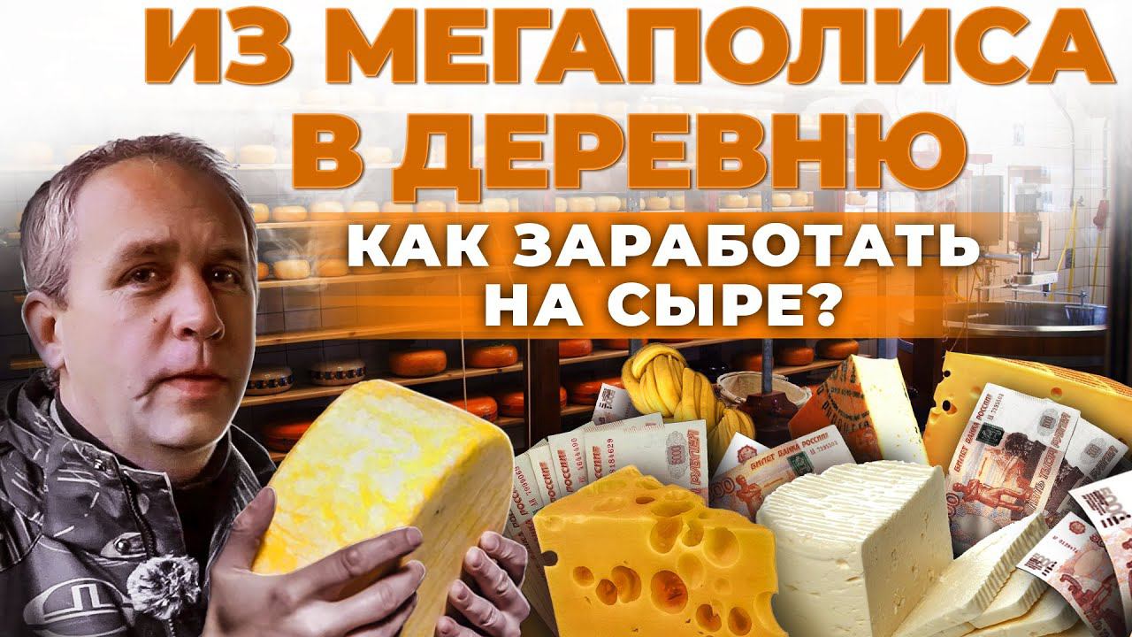 Производство сыра как бизнес | Сколько зарабатывают сыровары в селе | Андрей Даниленко