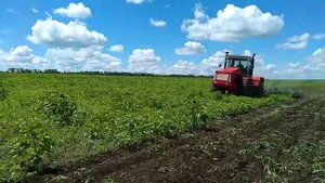 Культиватор Степняк 7,4 + К 744 спасают запущенные пары