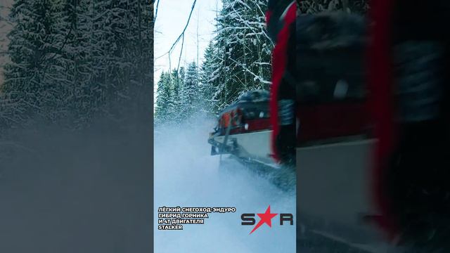 Снегоход. Покоряя бездорожье. #эндуро #сталкер
Полное видео на канале.