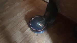 Володя говорящий робот пылесос