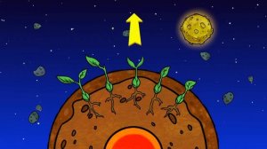 Мультик Профессор Почемушкин! Откуда семечко знает, куда ему расти?