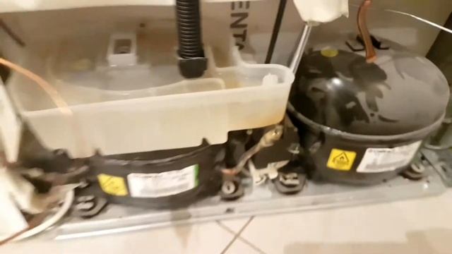 Растет шуба в холодильнике Электролюкс встройка модель ERZ28801 смотреть онлайн