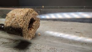 САМОДЕЛЬНЫЕ ИНКУБАТОРЫ ? CAMPONOTUS и Другое...