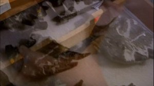 Part 1 Баллада о Большом Але.