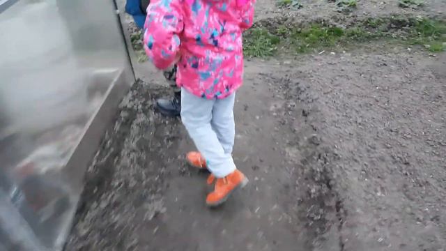 ШИКАРНАЯ ТЕПЛИЦА и Рассада! В гостях у мамы на даче и обзор огорода смотреть онлайн