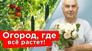 ЧТО СКРЫВАЕТ ИЗВЕСТНЫЙ АГРОНОМ? Петр Ломонос раскрывает свои секреты и показывает свой огород