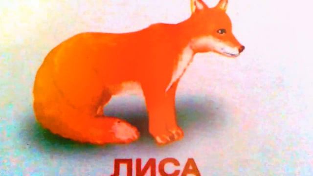 Лесные животные, животные средней полосы. Развивающее видео для детей смотреть онлайн