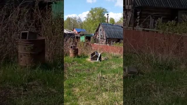 Облепиха, кровля пристроя дачи смотреть онлайн