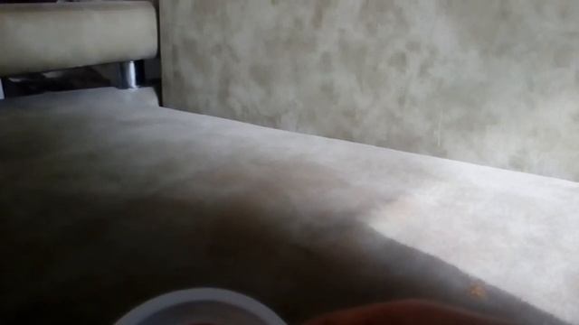 Раки дома. смотреть онлайн