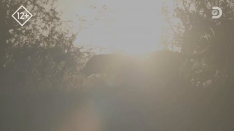 Река Санд Дикие реки Африки Discovery