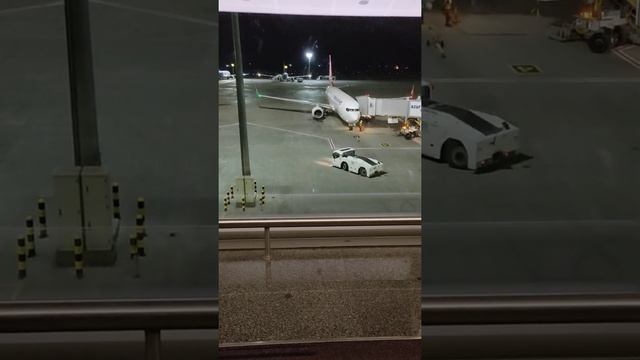 08.08.2021 аэропорт Борисполь, Шарм-эль-Шейх, актуальная информация. смотреть онлайн