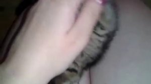 Играю с котенком
