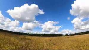 охота с Дратхааром