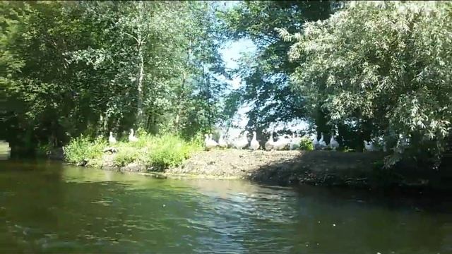 Байдарки 2018.. ярославская смотреть онлайн