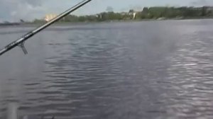 Эпизод с обкатки лодочного мотора Yamaha 9.9 outboard test