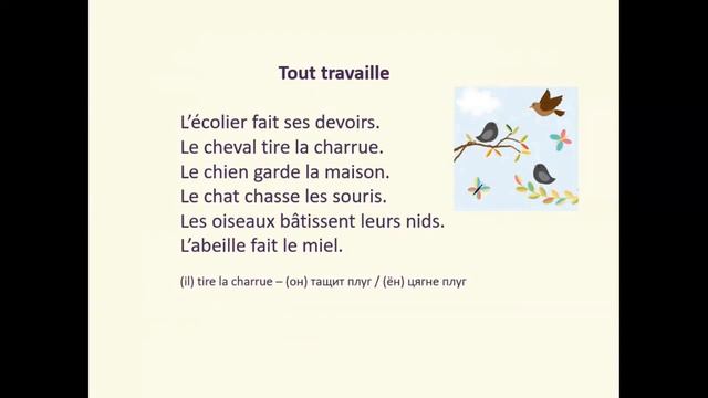 Тема 90. Уход за животными смотреть онлайн