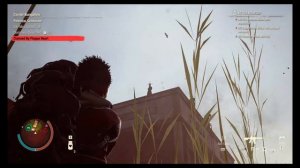 Infestation on Rooftop in Drucker County - State of Decay 2 (PC)