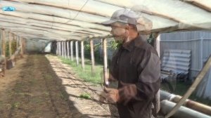 КАК СОХРАНИТЬ КАПЕЛЬНЫЙ ПОЛИВ ДО ВЕСНЫ.