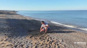 Тест Garrett Apex на глубину обнаружения на морском пляже