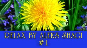 Relax by Aleks SHAGI #01 Одуванчик (Dandelion) 2021-0528 MOTIF XS / SONY FDR AX700